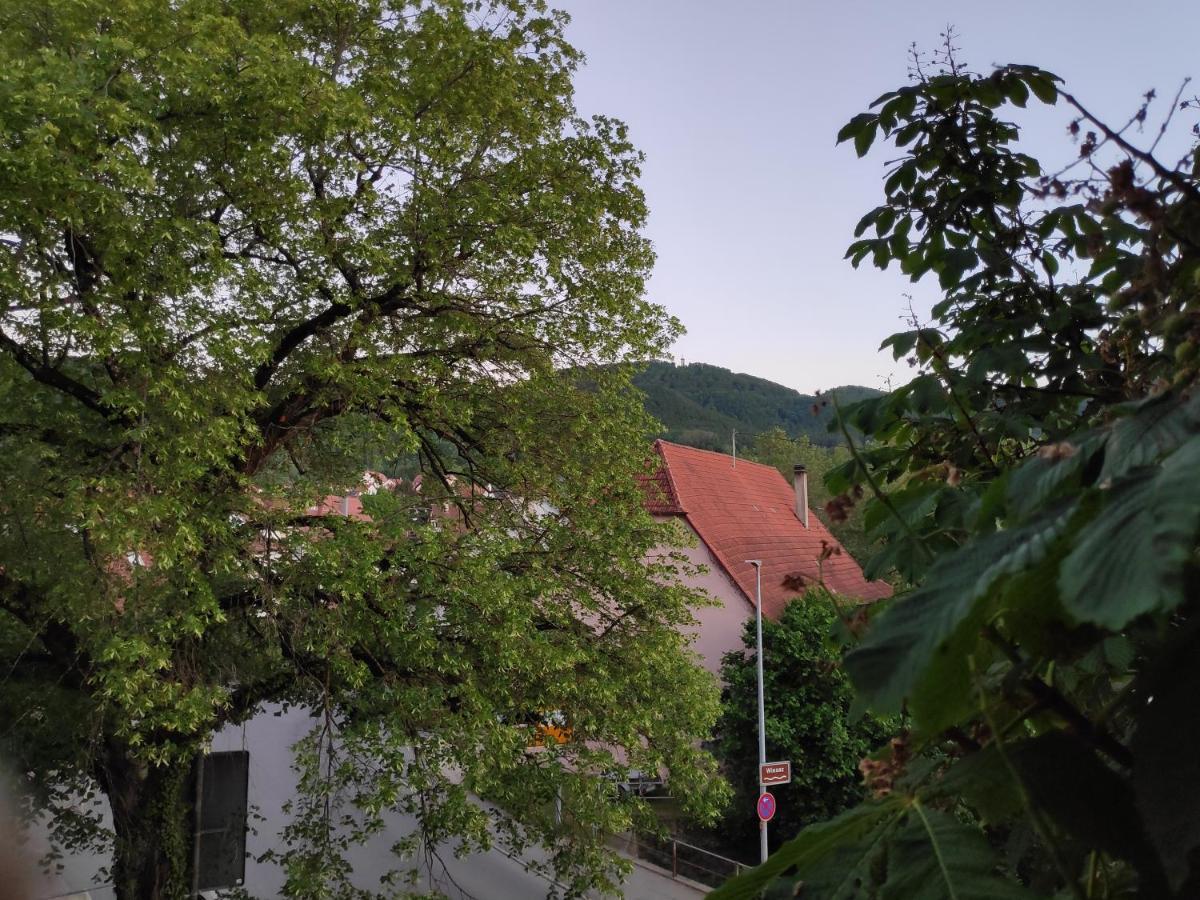 Ferienwohnungen Und Zimmer In Reutlingen-Goenningen Exterior foto